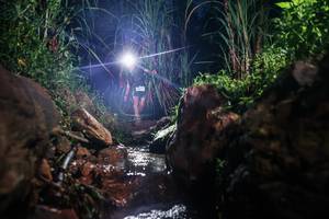 BIB: 
                            <button type="button" onclick="openModal(26415418)" class="btn btn-primary btn-sm float-right btn-popup" data-toggle="modal" data-target=".modal-high-quality">
                        <i class="fas fa-shopping-cart"></i> Add to Cart
                    </button>
                                            <button type="button" onclick="isThisMe(26415418, true)" class="btn btn-success btn-sm float-right btn-popup btn-isme hidden" data-toggle="tooltip" data-placement="bottom" title="นี่คือรูปของคุณใช่ไหม คลิกที่นี่เพื่อเอาเข้าอัลบั้ม">
                        <i class="fas fa-plus"></i> Add to album
                    </button>
                    <button type="button" onclick="isThisMe(26415418, false)" class="btn btn-warning btn-sm float-right btn-popup btn-isnotme hidden">
                        <i class="fas fa-ban"></i> Remove from album
                    </button>